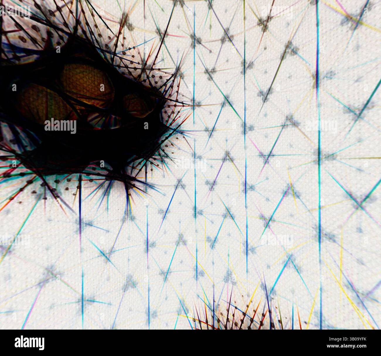 Spiky Textures Patterns Intricate patterns of spiky forms hi-res stock photography and images ...
