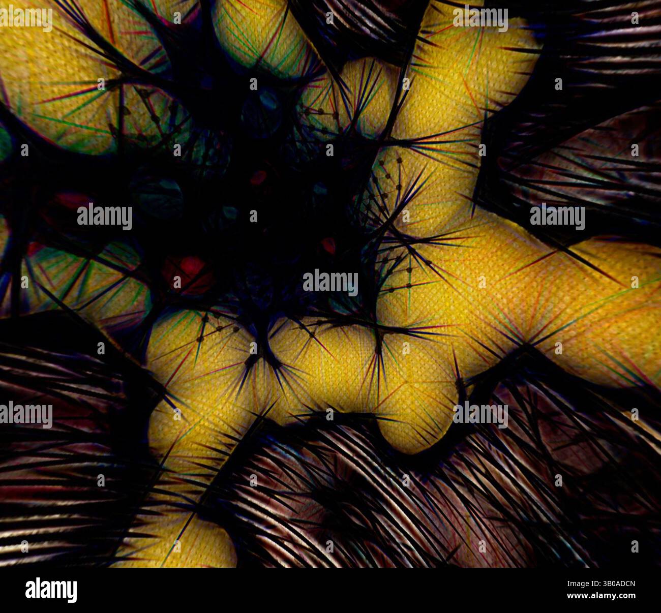 Intertwining Artwork A vivid abstract display of intertwining textures and colors ...