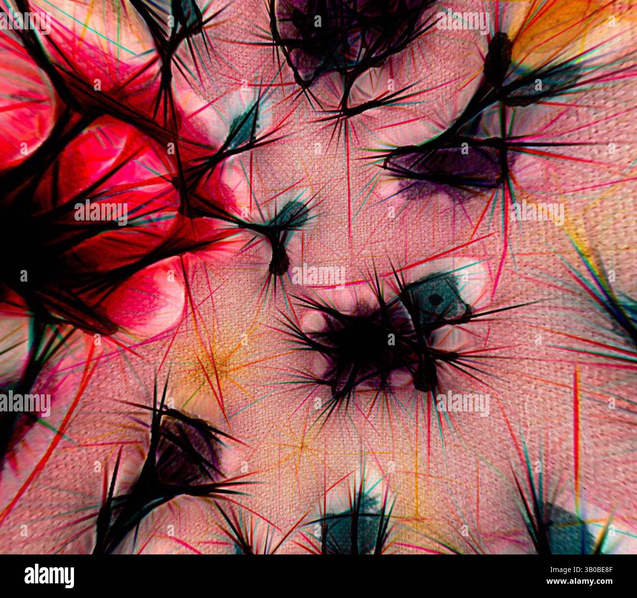 Spiky Textures Patterns Spiky patterns creates hi-res stock photography and images - Alamy