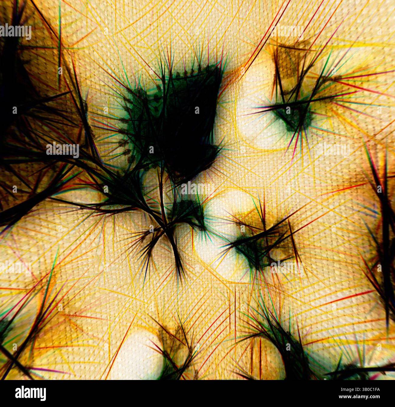 Spiky Textures Patterns Spiky patterns creates hi-res stock photography and images - Alamy