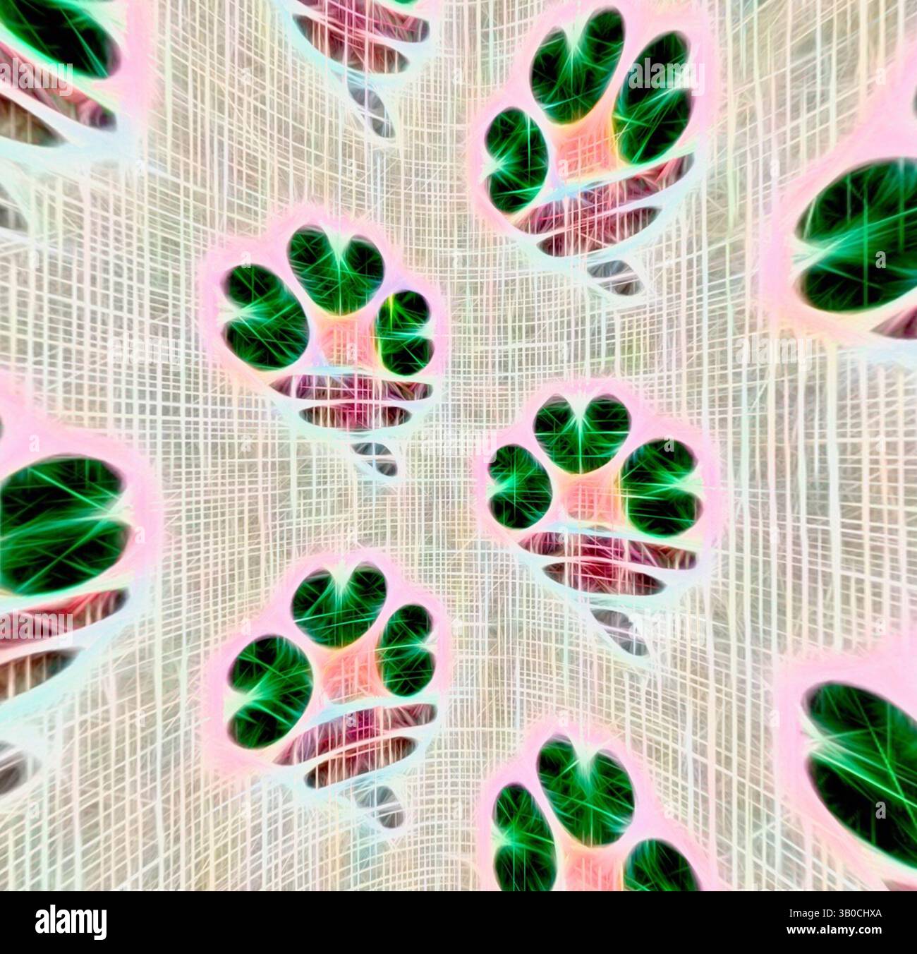 A vibrant pattern featuring stylized paw prints surrounded by an ...