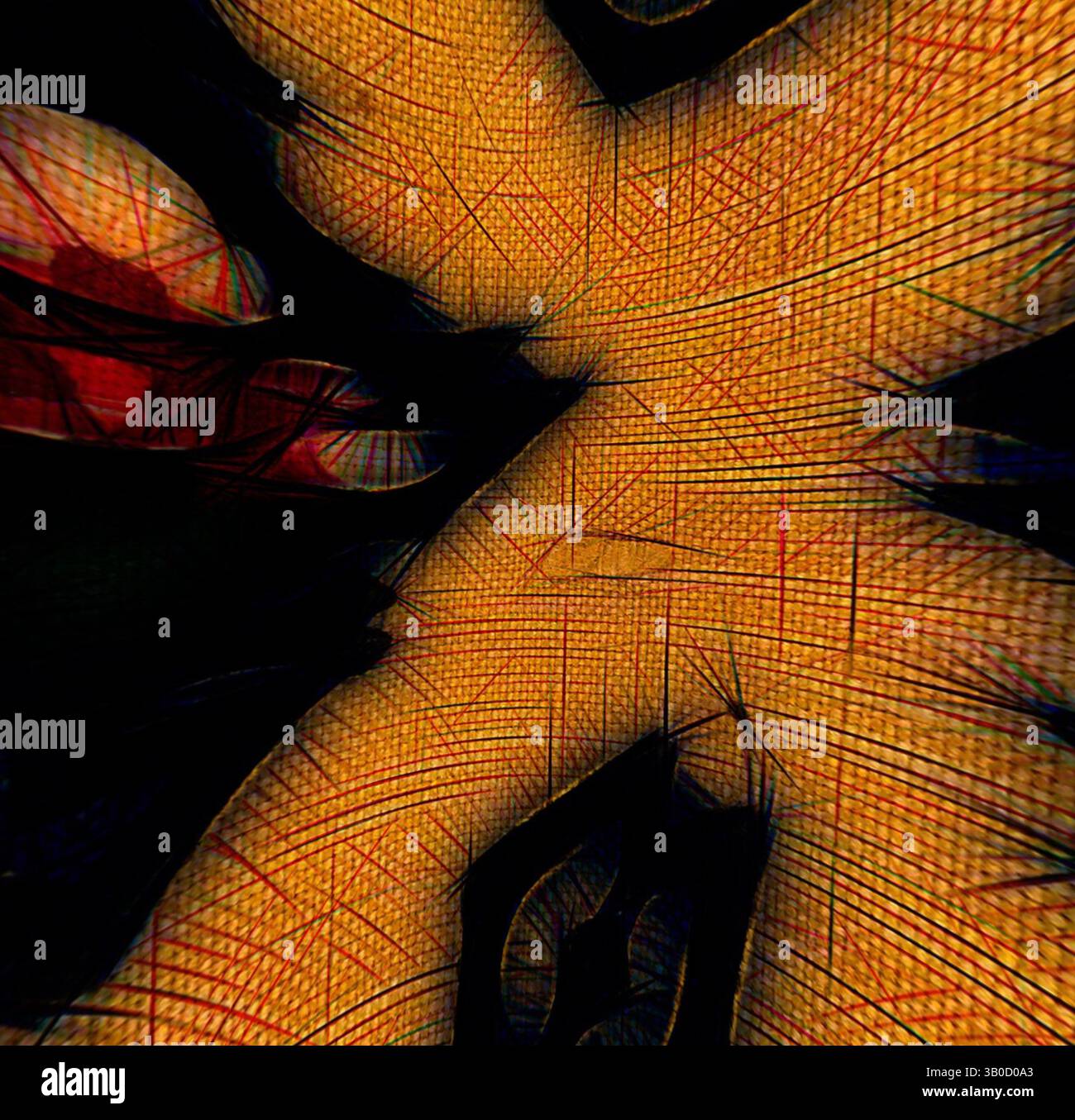 A vibrant, abstract composition featuring intertwining shapes and lines ...