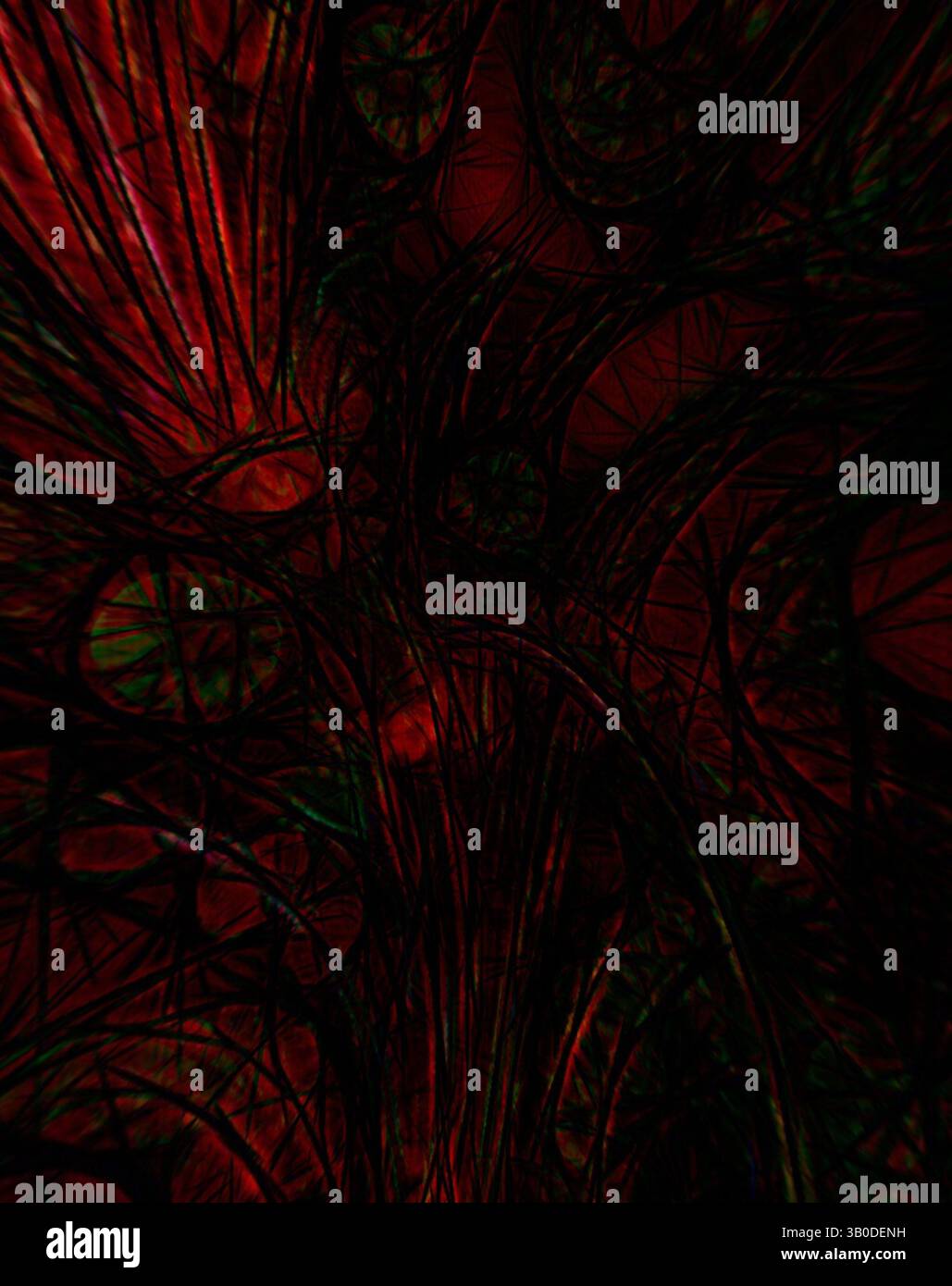 Enveloped in deep reds hi-res stock photography and images - Alamy
