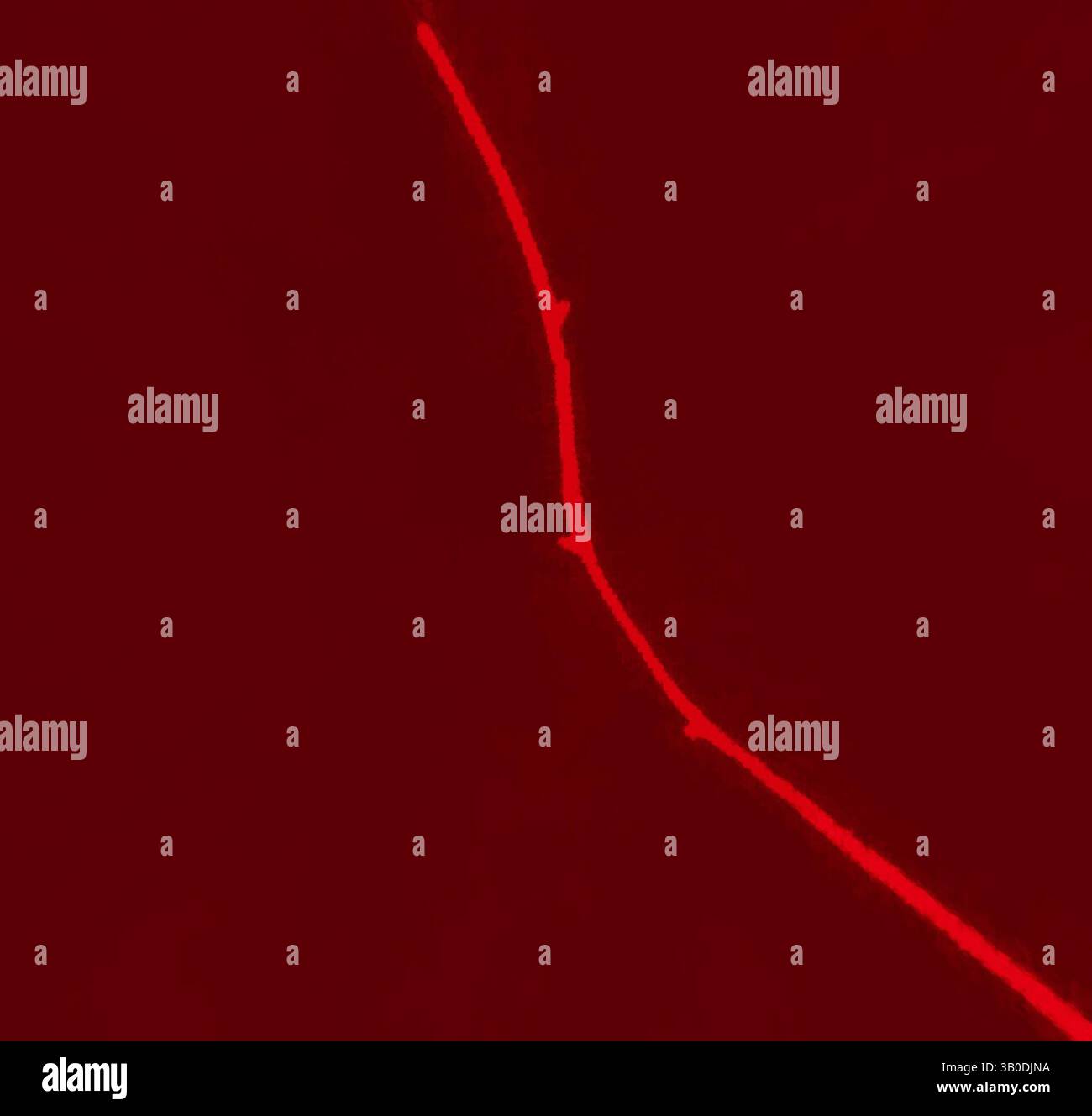 Curved line of vibrant red stands hi-res stock photography and images ...