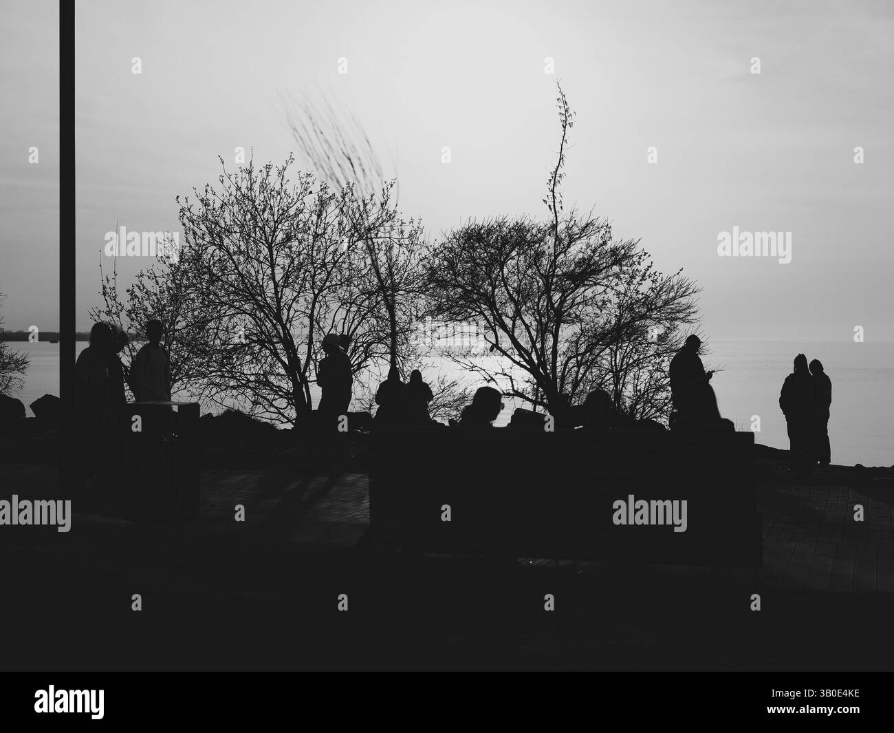 Silhouettes Against a Dusk Skyline, where beauty meets artistic exploration and emotion, Stock Photo
