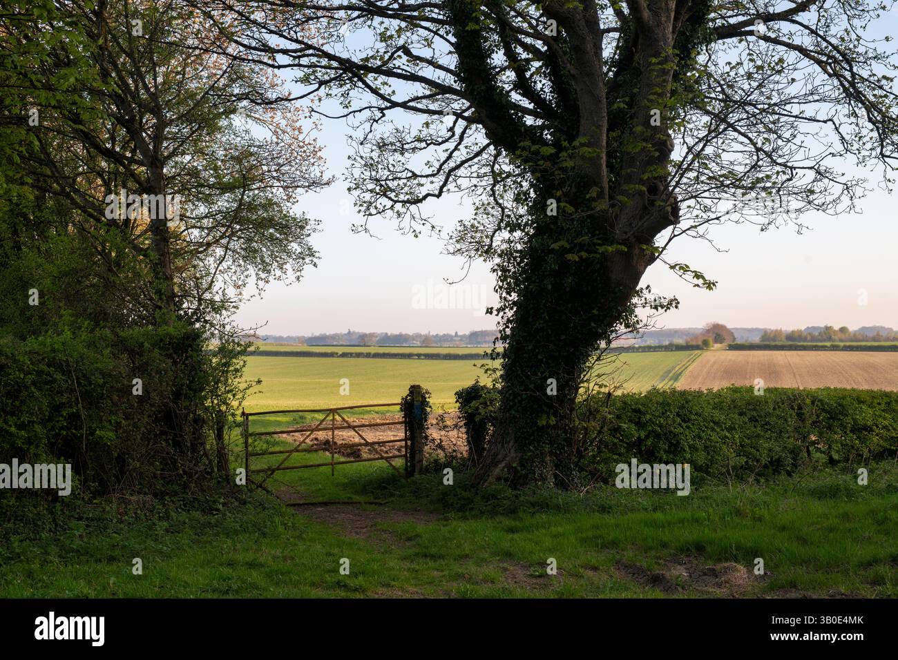 Old farm gate and farmland along a bridleway in spring. Oxfordshire, England. Stock Photo