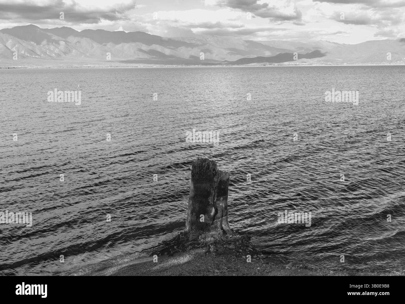 Calm coastal landscape on spring Black and White Stock Photos & Images ...