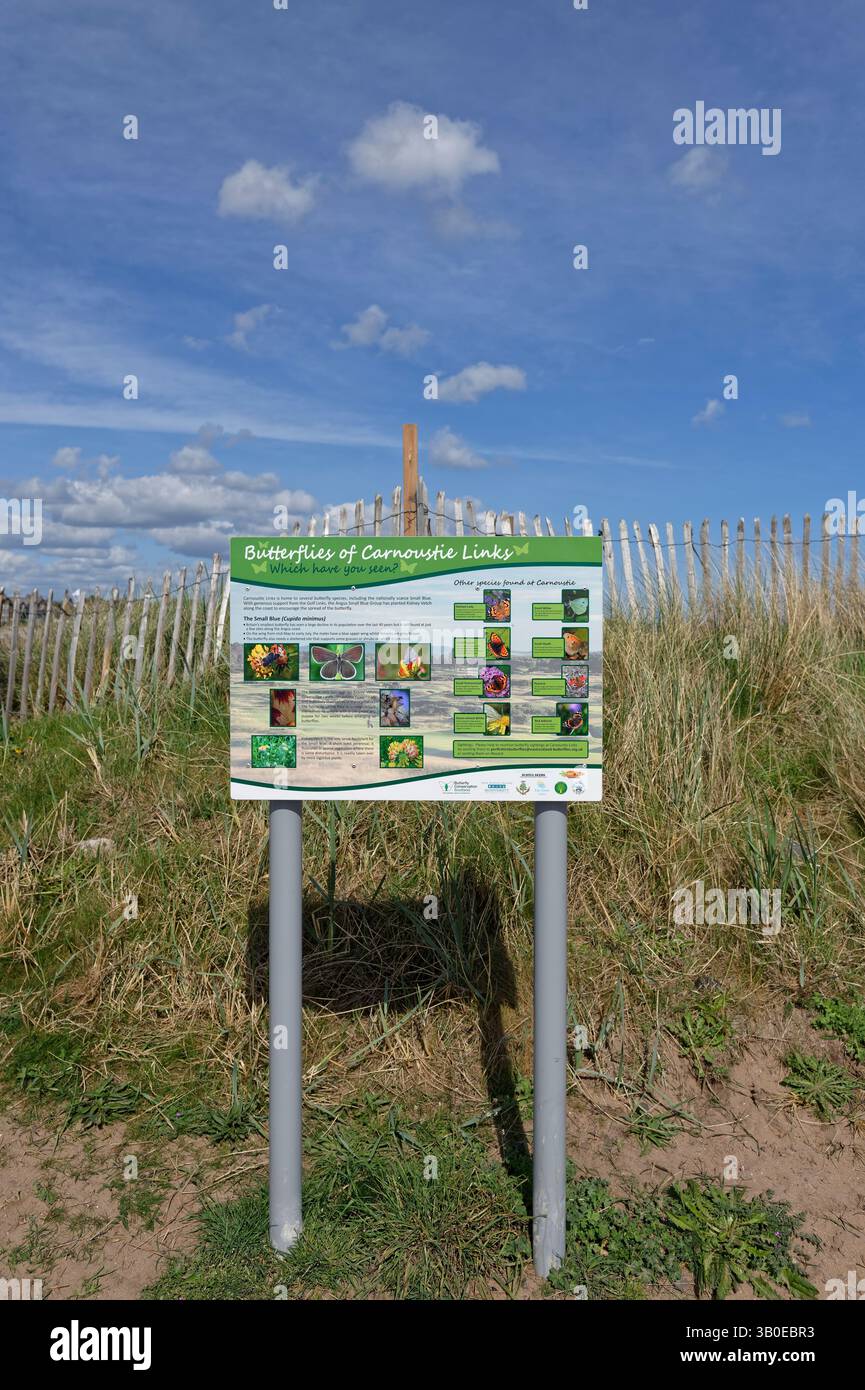 Angus council sign hi-res stock photography and images - Alamy