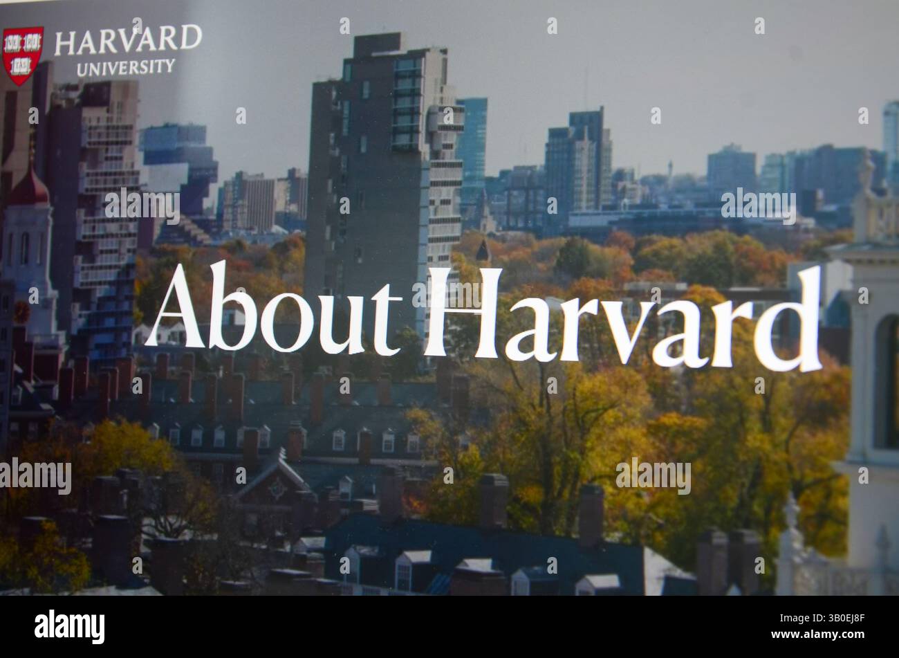 Jiangmen,Guangdong,China.22nd April,2025.Chinese female uses smartphone to watch news about Harvard University.Harvard sued Trump administration on Ap Stock Photo