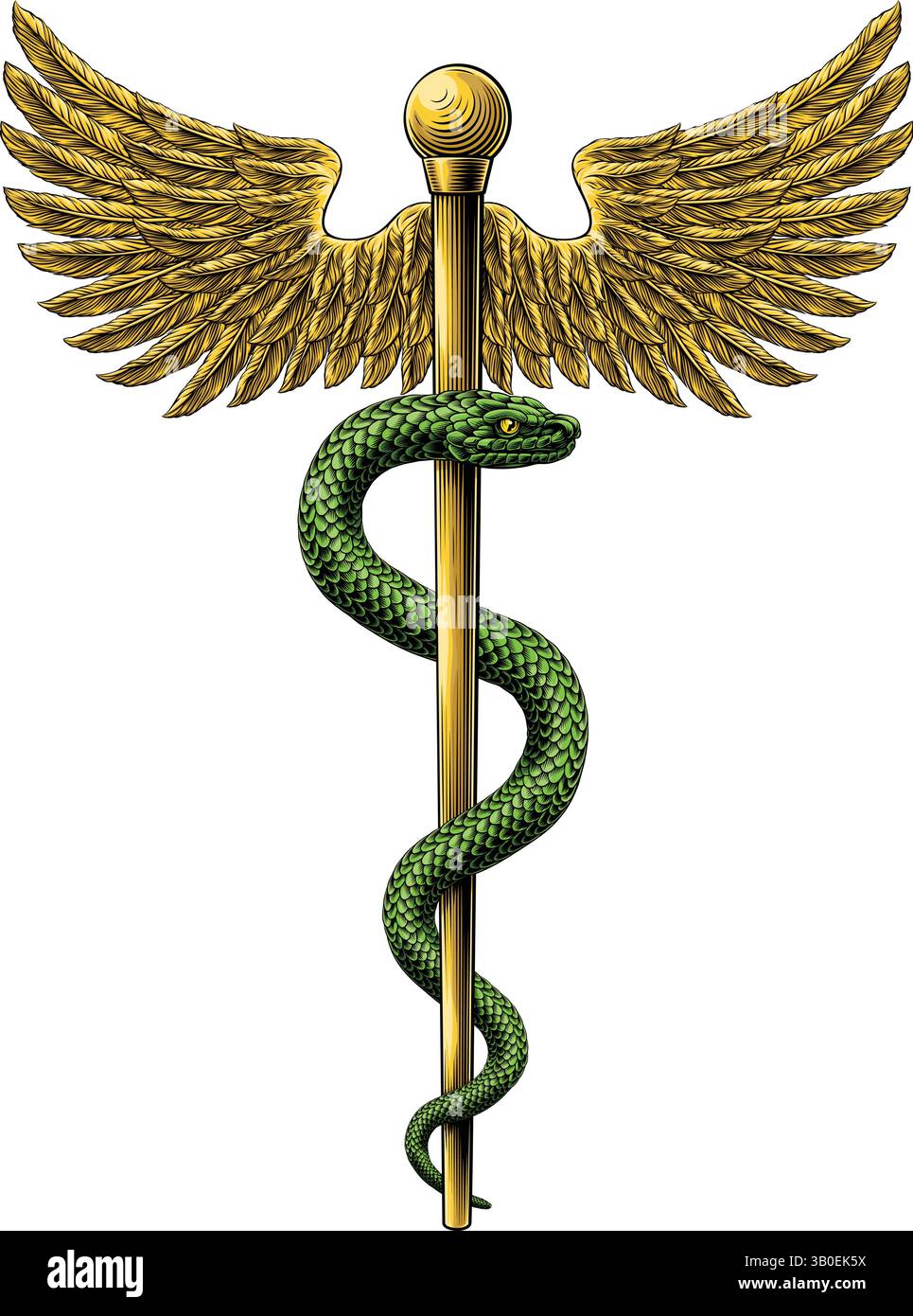 Rod of Asclepius Caduceus Medical Doctor Symbol Stock Vector Image ...