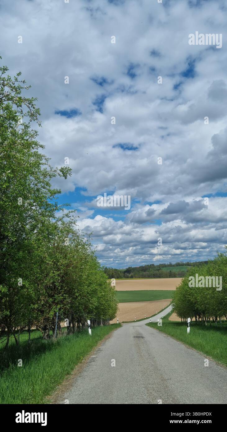 Country road leading through green trees and open farmland under a dramatic cloudy sky. Scenic rural landscape in springtime. - Smartphone Captured Stock Image Country road leading through green trees and open farmland under a dramatic cloudy sky. Scenic rural landscape in springtime. - Smartphone Captured Stock Image