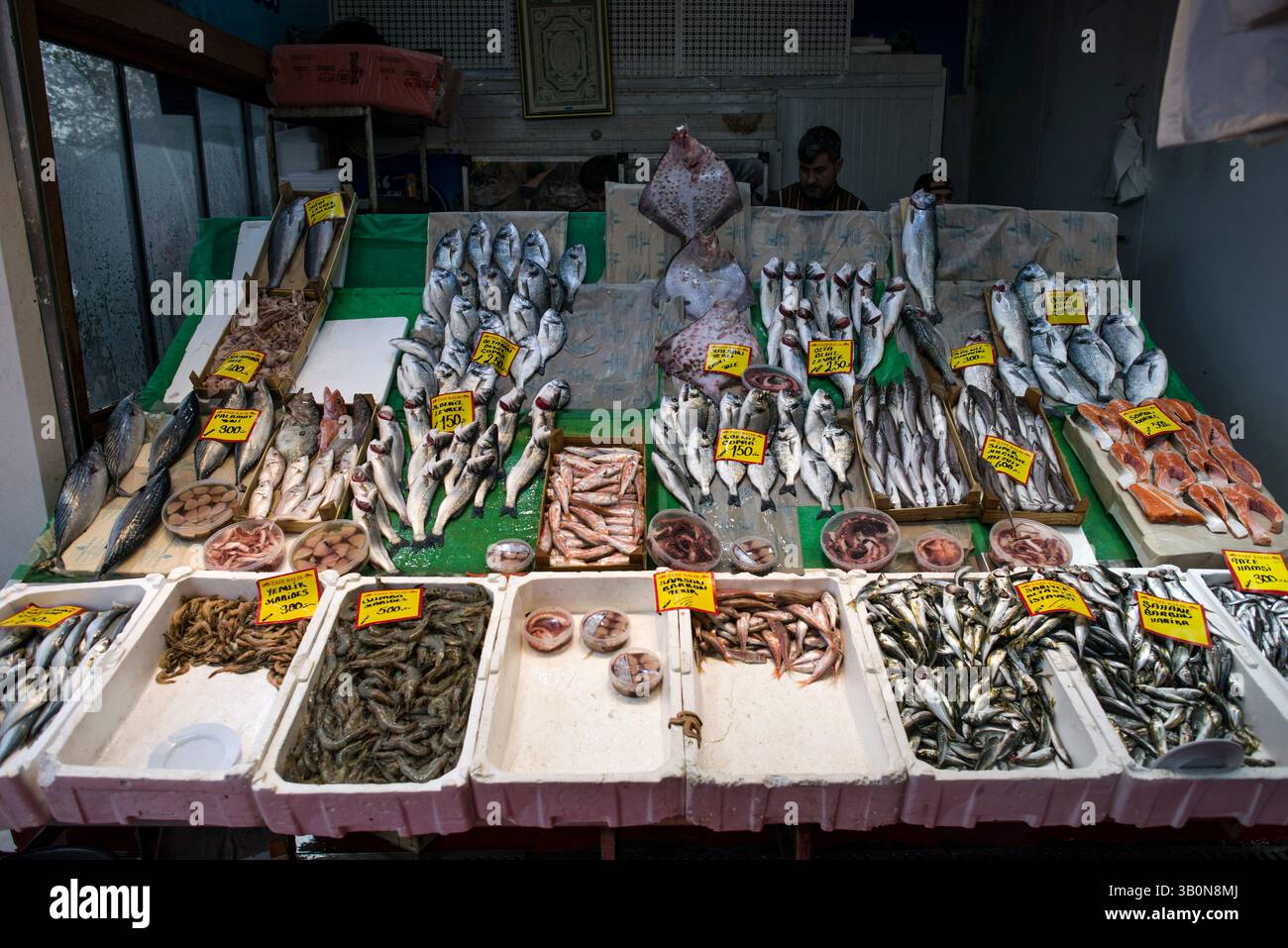 Istanbul, Turkey. 17th Apr, 2025. Different types of fish available at ...