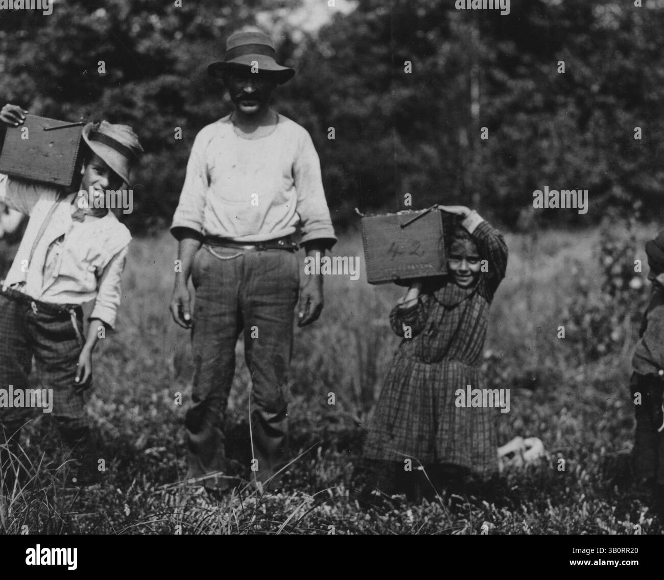 June 6, 1910 - Pemberton, NJ, U.S. - Lucy carrying peck of cranberries (weighing about 15 pounds) long distance to bushel man. (Credit Image: © BuyEnlarge/ZUMAPRESS.com) Stock Photo