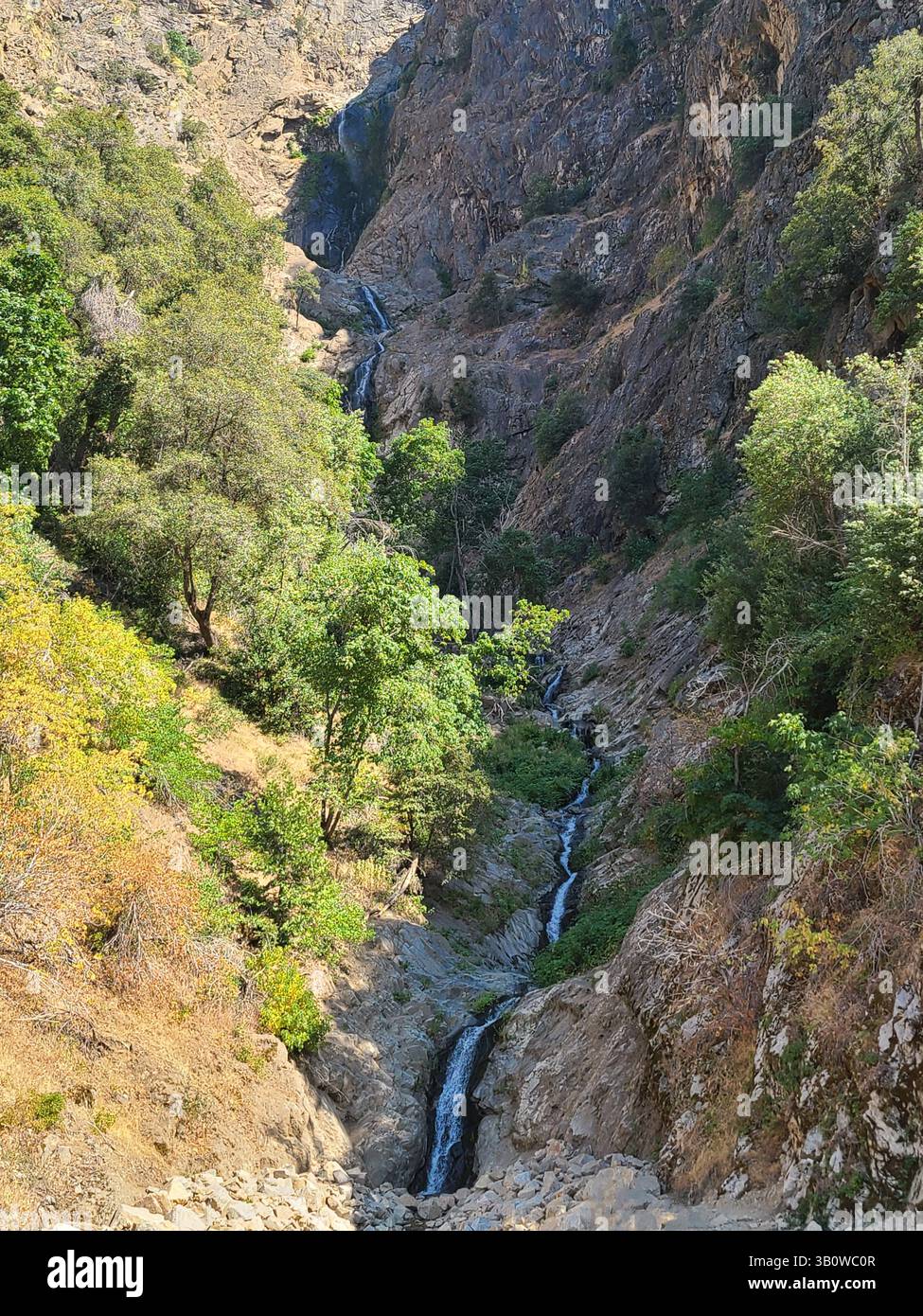 Sequoia National Park - California - Smartphone Captured Stock Image