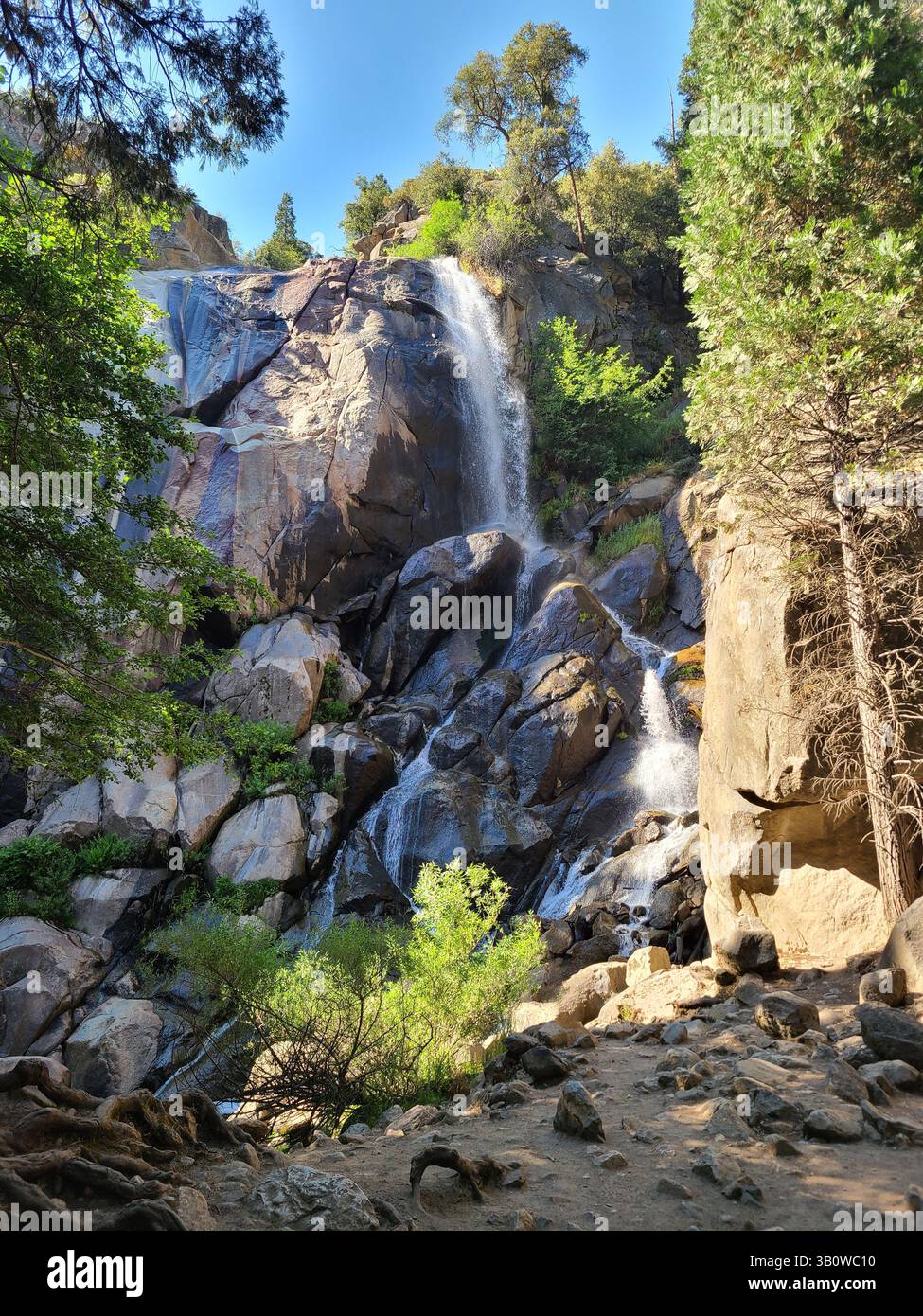 Sequoia National Park - California - Smartphone Captured Stock Image