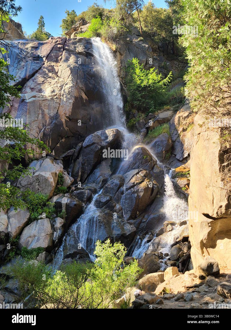Sequoia National Park - California - Smartphone Captured Stock Image