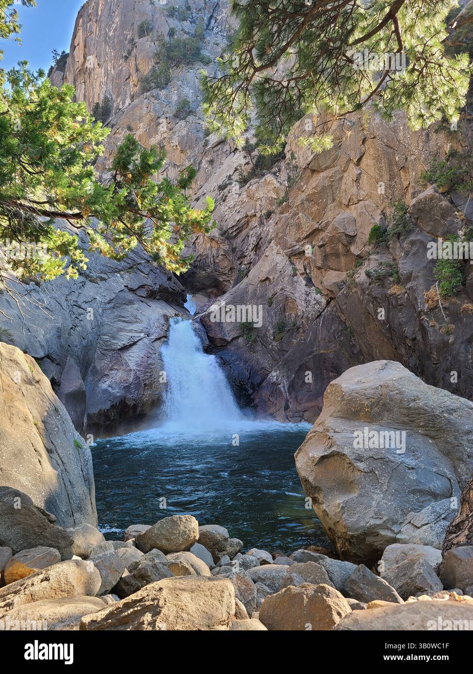Sequoia National Park - California - Smartphone Captured Stock Image