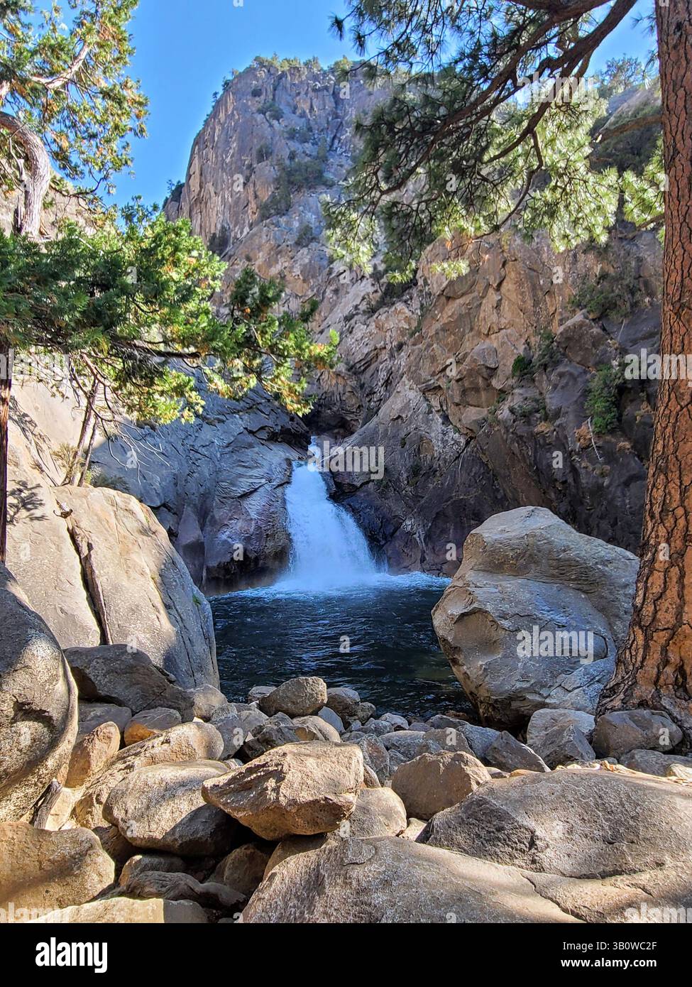 Sequoia National Park - California - Smartphone Captured Stock Image