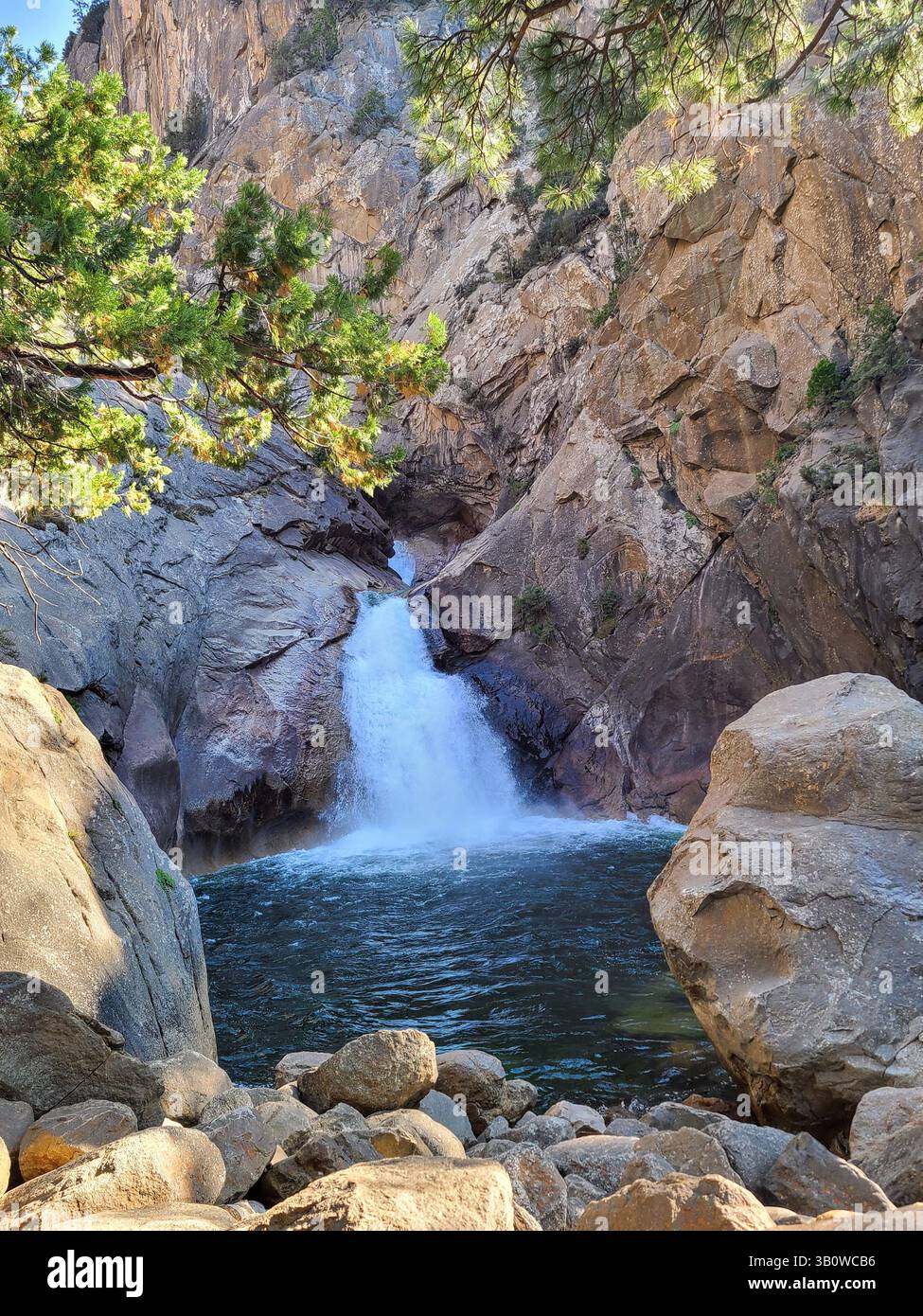 Sequoia National Park - California - Smartphone Captured Stock Image