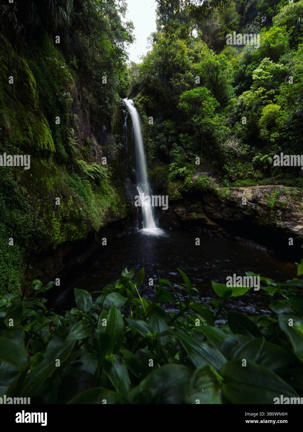 Waitao Tropical exotic Kaiate Falls waterfall water dropping down rock cliff ...
