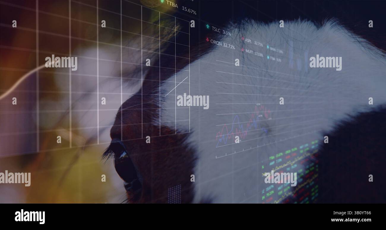 Image of data processing over horse and leaves Stock Photo