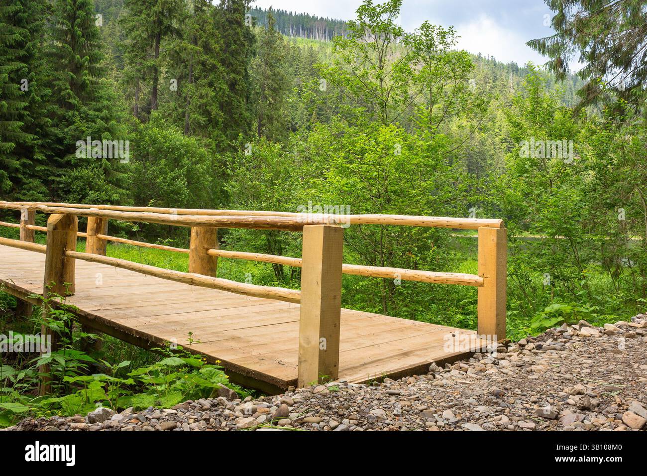 wooden bridge stretching into the depths of the coniferous forest. path over stream in summer. boardwalk construction alpine woodland. scenery in syne Stock Photo