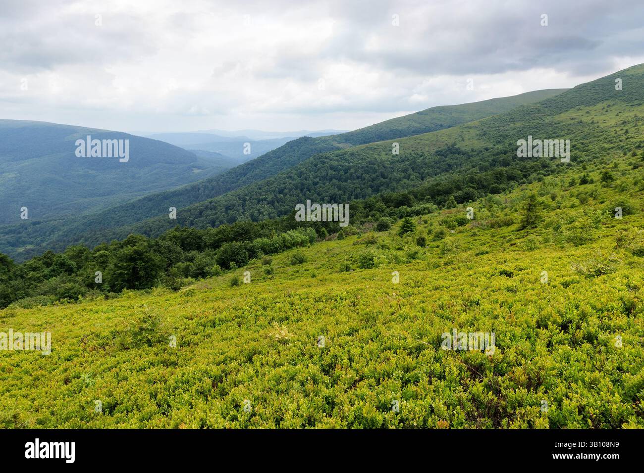 alpine scenery of ukrainian carpathians in summer. mountain smooth also called runa. rolling landscape beneath an overcast sky. rainy weather forecast Stock Photo
