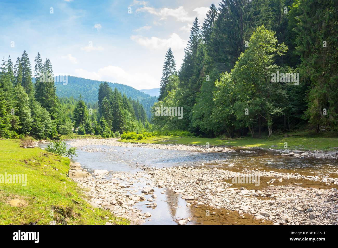 mountainous landscape of ukraine with tereblya river. forest on the hill along the grassy shore. scenery beneath a blue sky with clouds on a sunny day Stock Photo