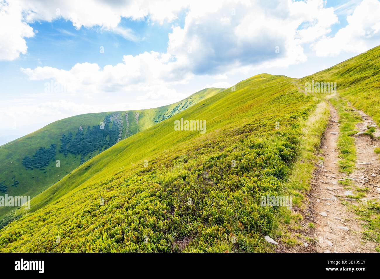 path up the steep hill. scenic destination for tourism. travel background with carpathian mountain landscape in summer. grassy alpine scenery of ukrai Stock Photo