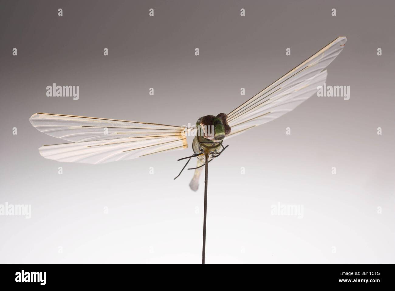 Micro cia hi-res stock photography and images - Alamy