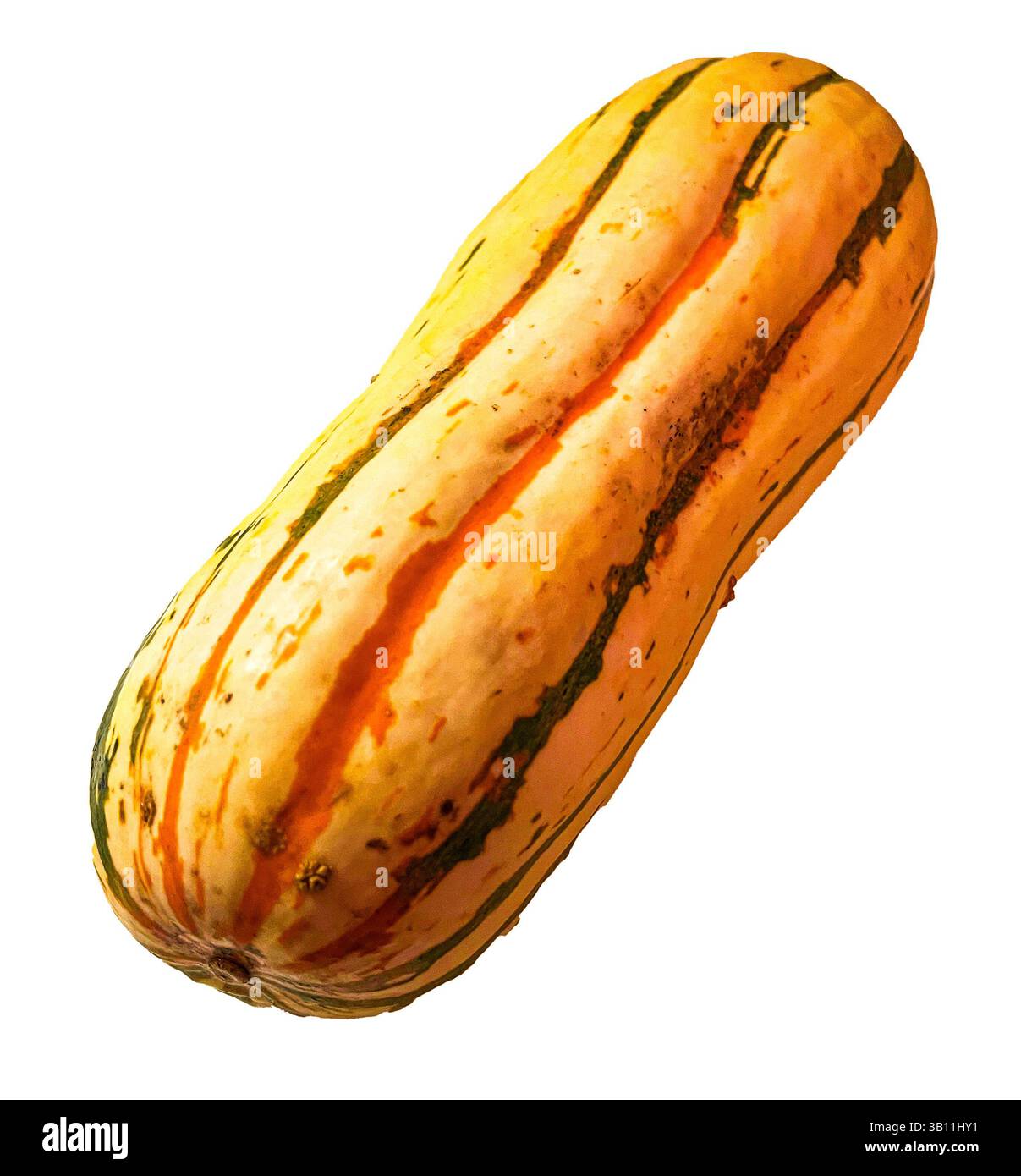 Delicata Squash Stock Photo