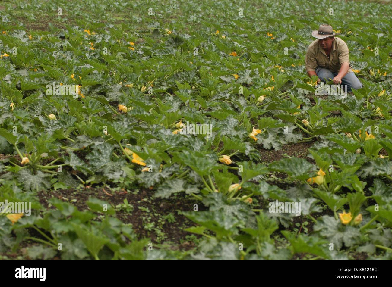 Vive la agricultura hi-res stock photography and images - Alamy