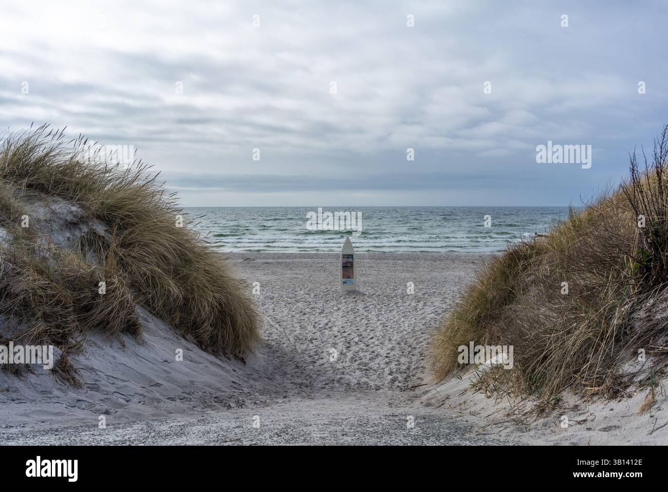 Western beach of Hiddensee Island near Vitte, view down a path through the dunes towards the Baltic Sea beach, Mecklenburg-Vorpommern, Germany, Europe Stock Photo