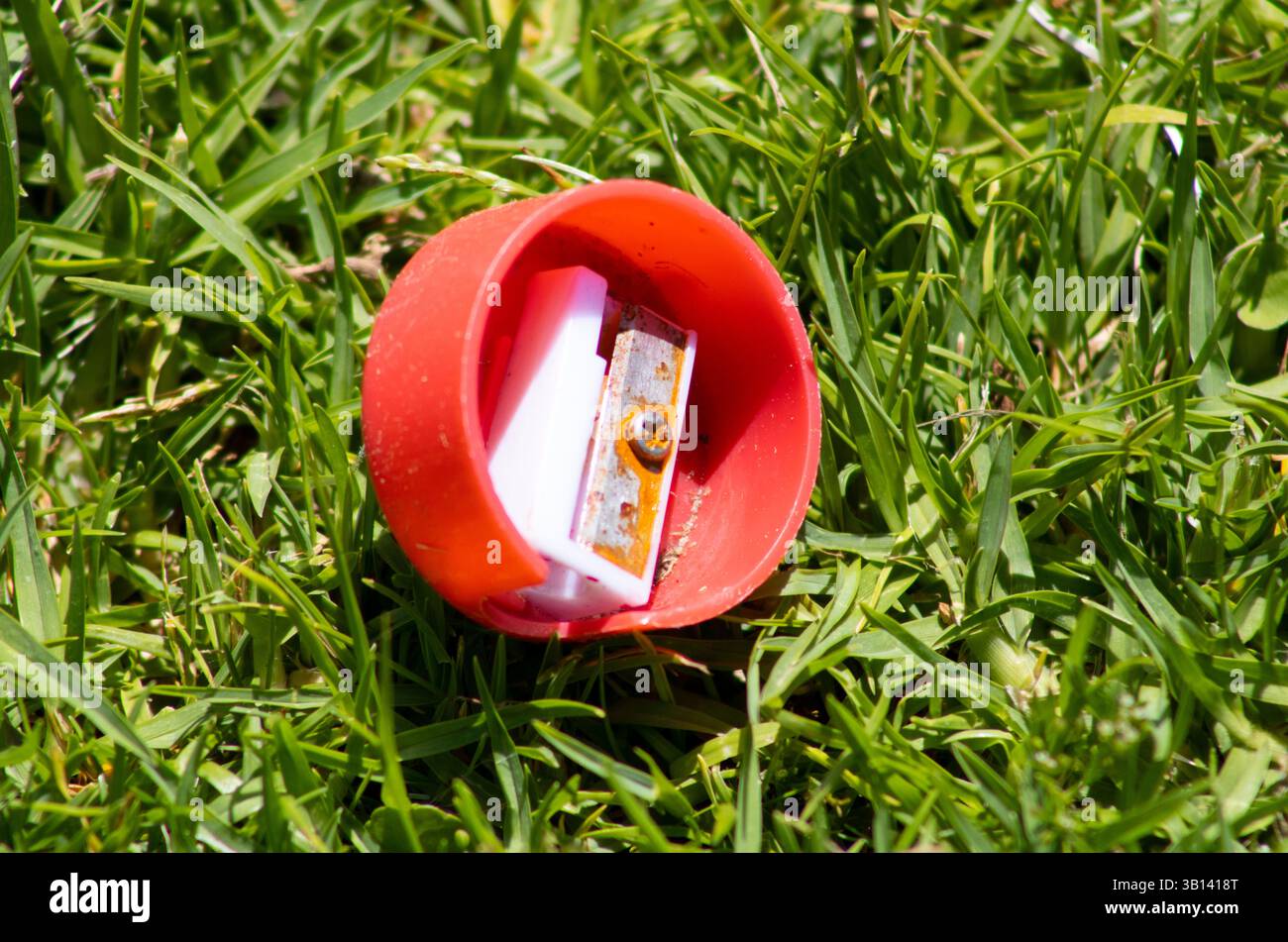 red circular pencil sharpener sitting in grass Stock Photo