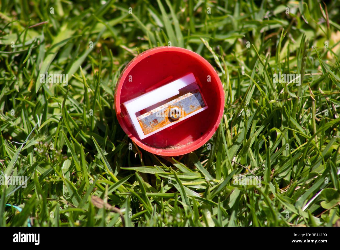 red circular pencil sharpener sitting in grass Stock Photo