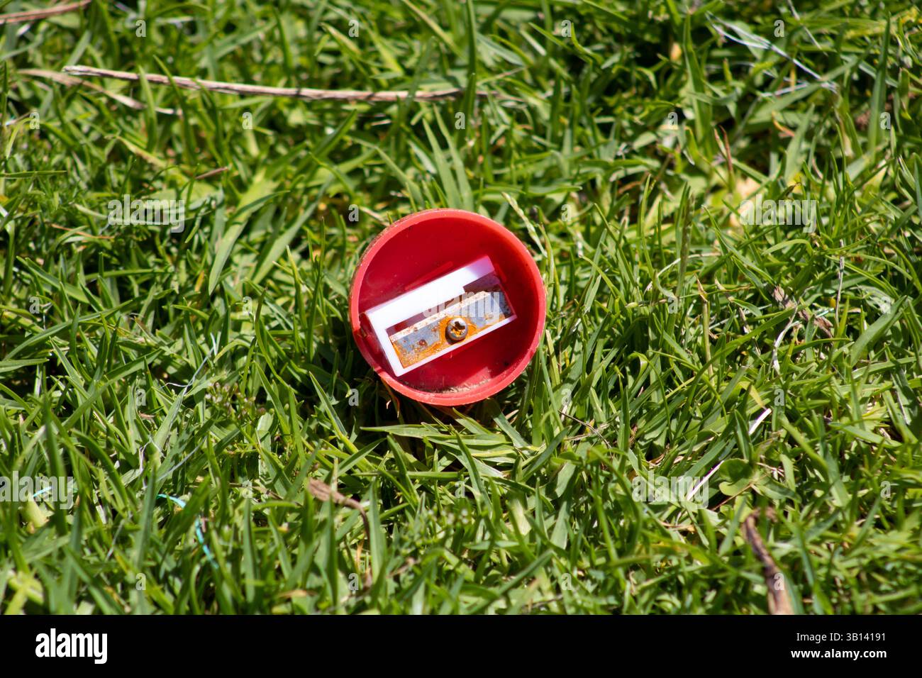 red circular pencil sharpener sitting in grass Stock Photo