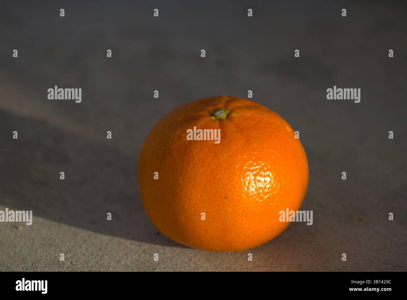 miniature orange sitting on pavement Stock Photo