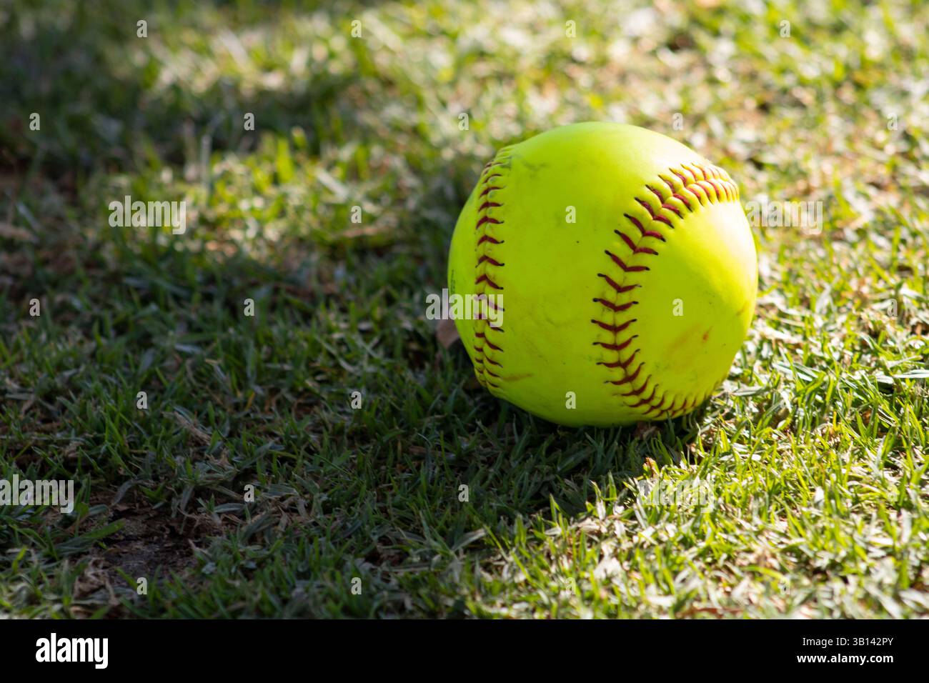 bright yellow softball in nature Stock Photo - Alamy