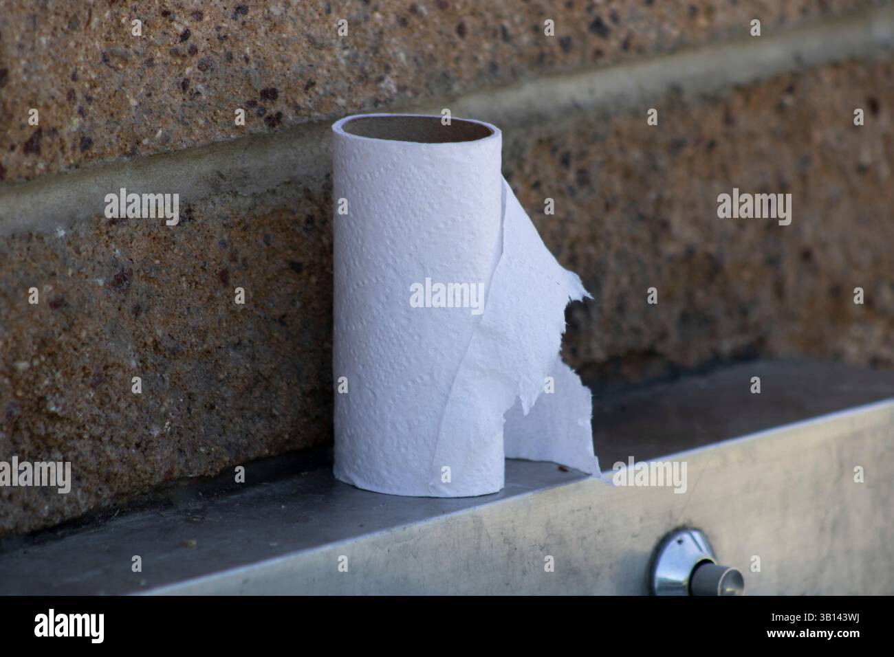 used roll of toilet paper Stock Photo - Alamy