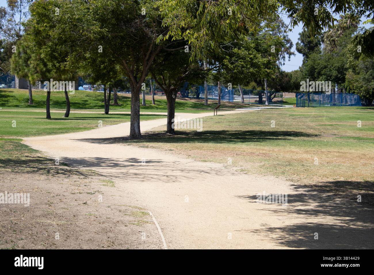 dirt walking path near trees Stock Photo