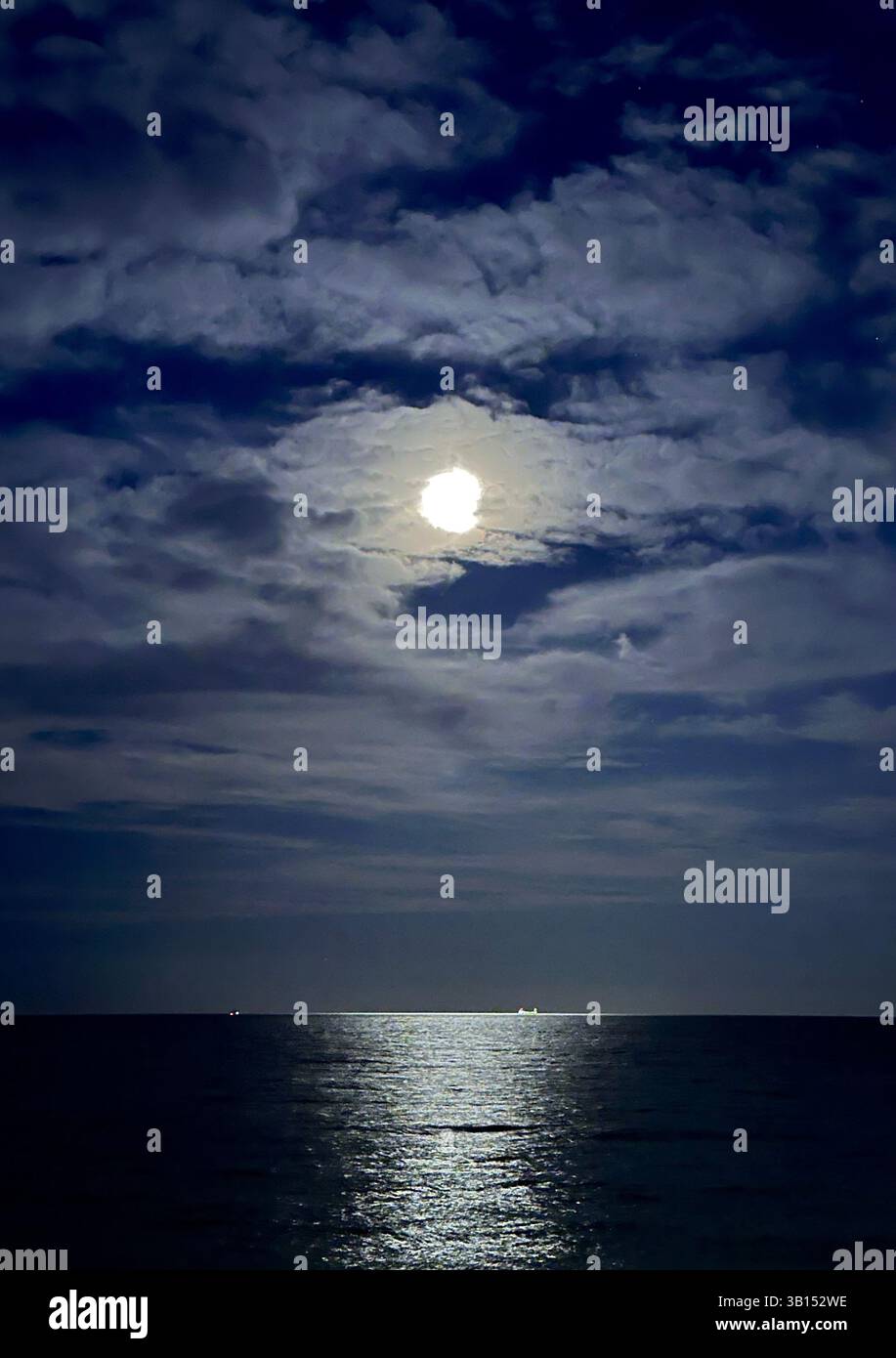 street photography nature england spain malaga seaside - Smartphone Captured Stock Image