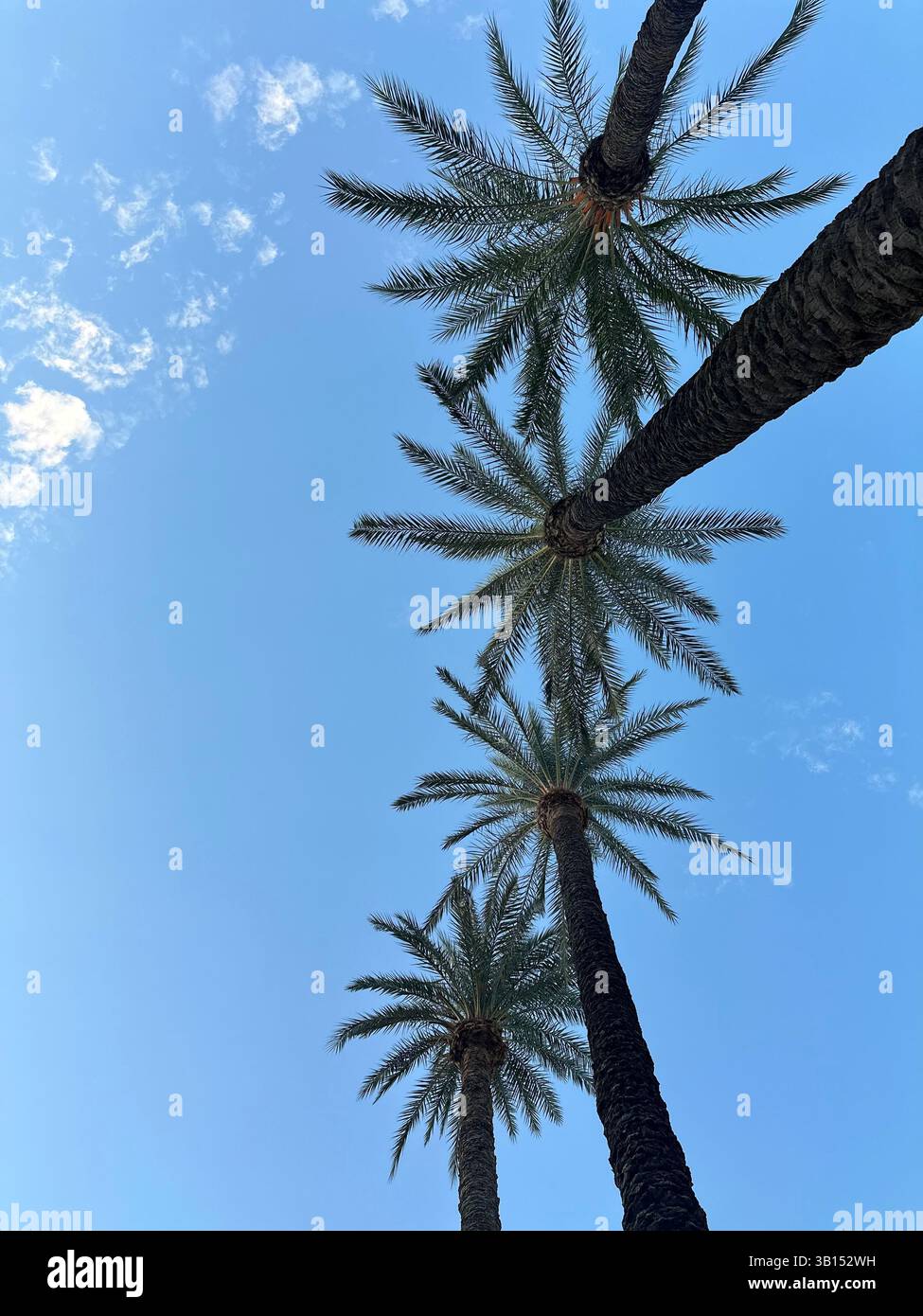 street photography nature england spain malaga seaside - Smartphone Captured Stock Image