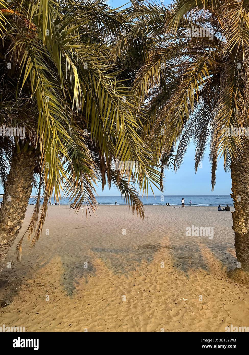 street photography nature england spain malaga seaside - Smartphone Captured Stock Image