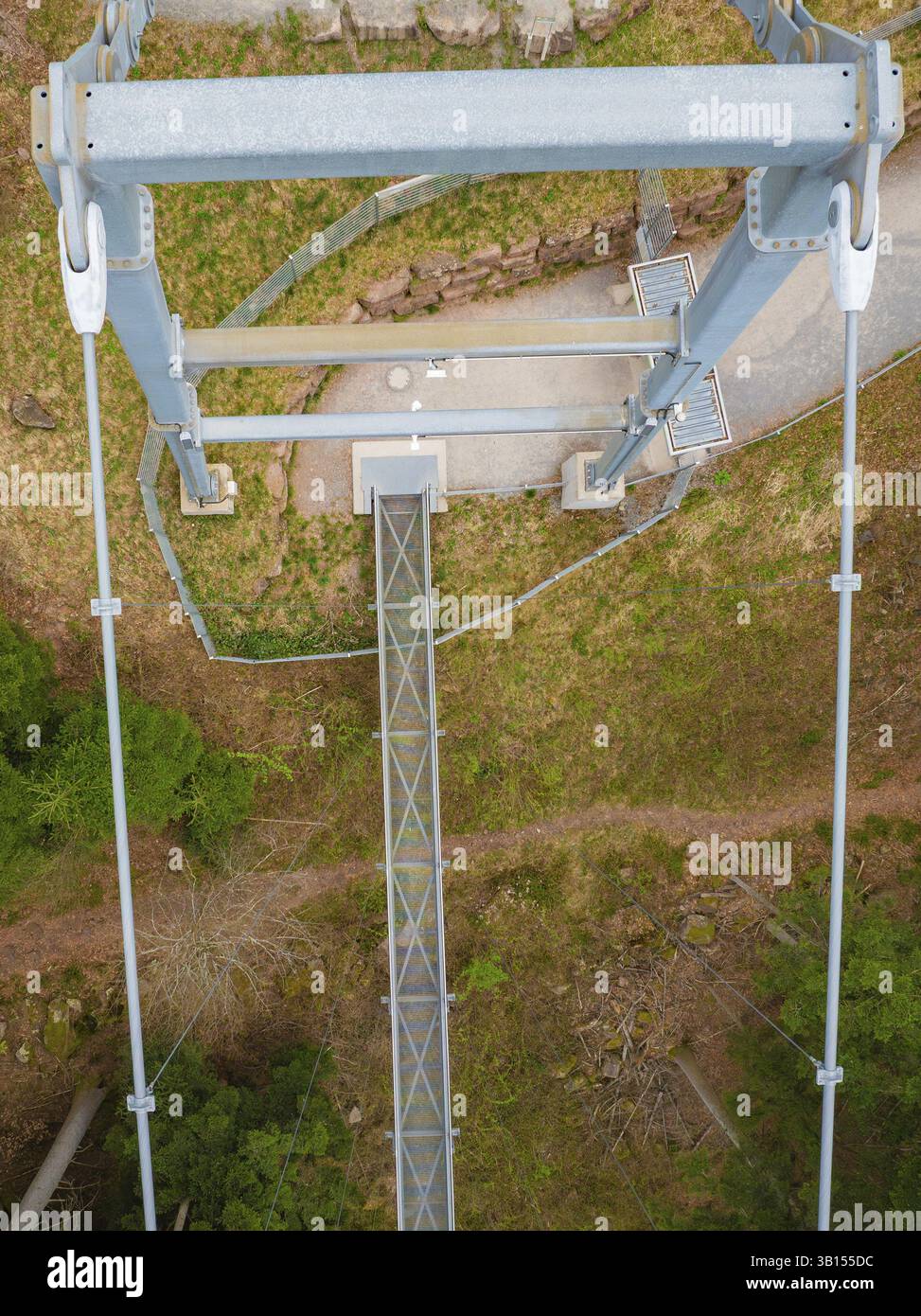 Bridge leads over a forest with clear paths and a concrete platform ...