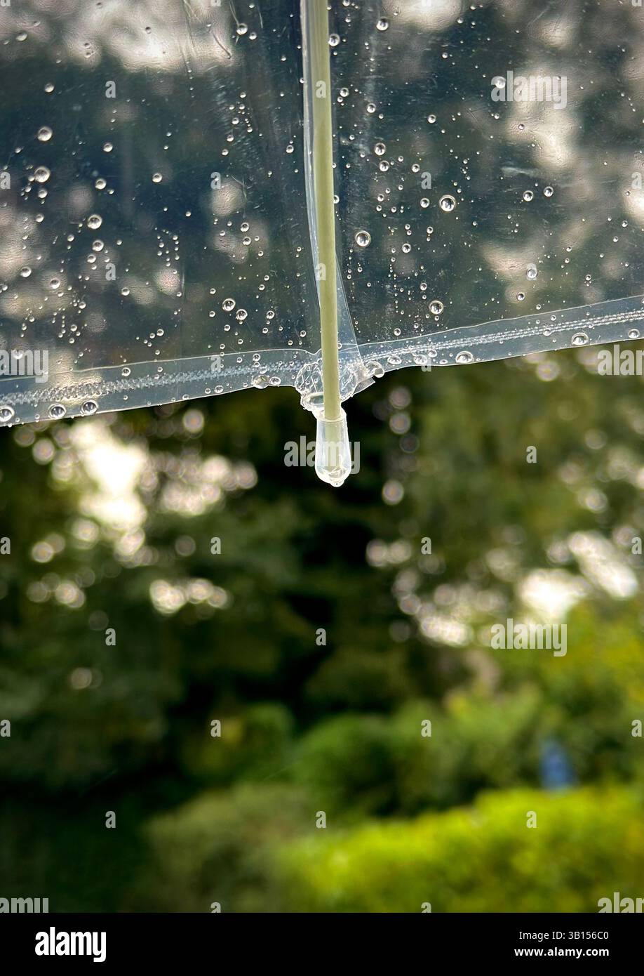 Rain on a transparent umbrella. November rain. England. Weather - Smartphone Captured Stock Image