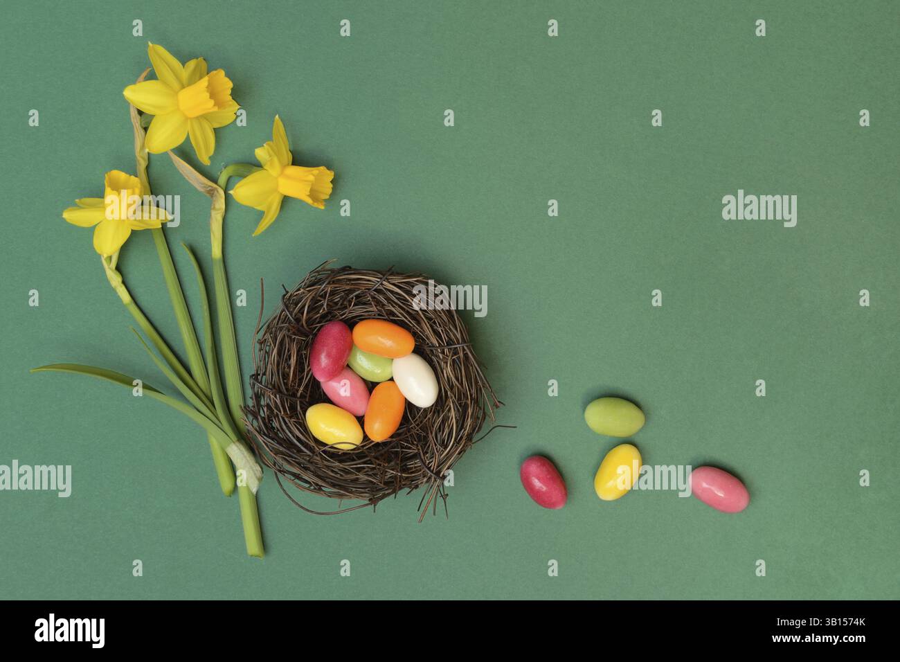 Easter nest, nest with sugar eggs and yellow daffodils Stock Photo