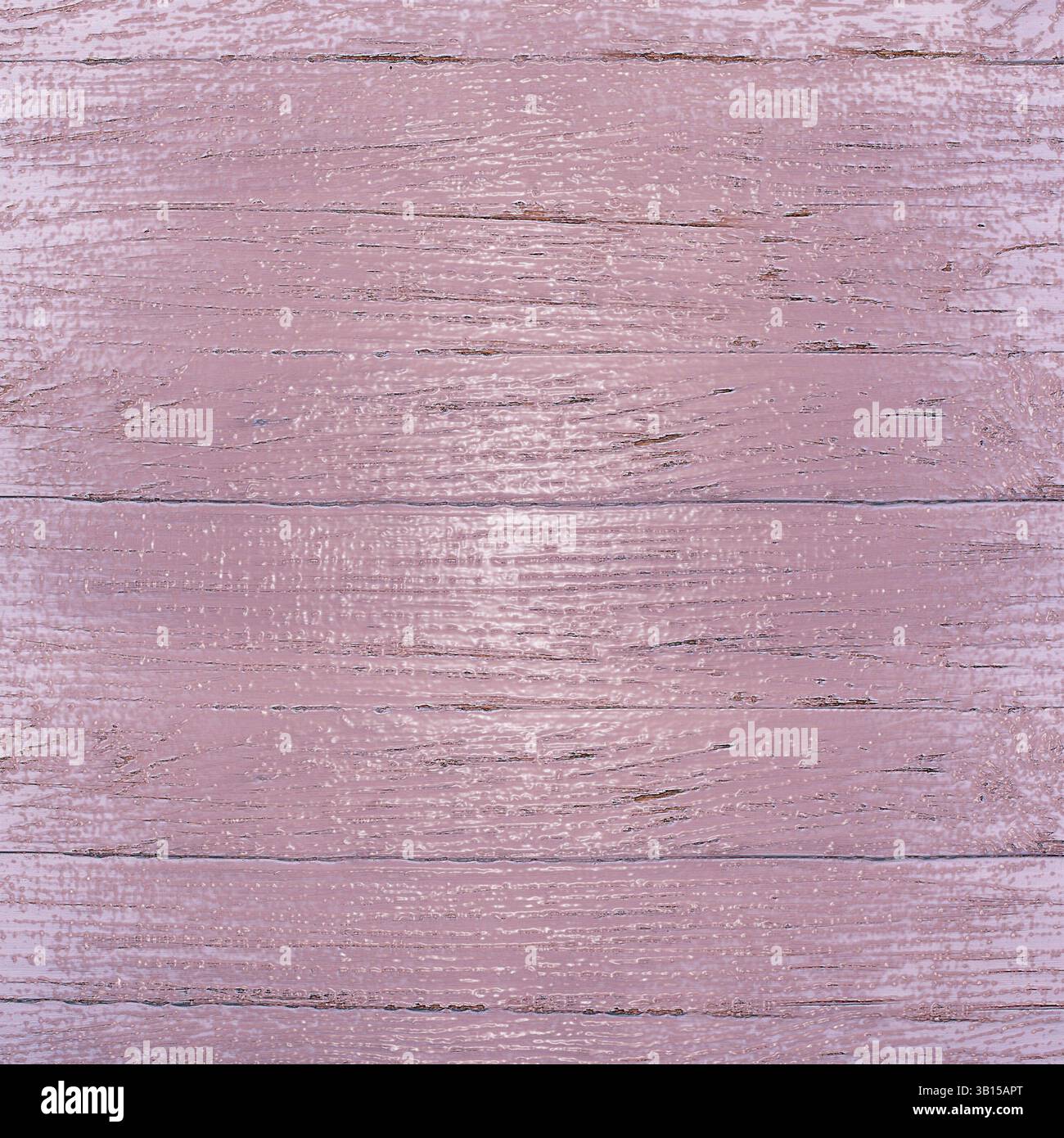 Pink painted wooden planks showing wood grain and cracks creating a ...