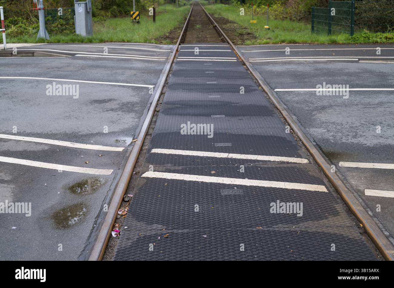 Rubber covered tram tracks hi-res stock photography and images - Alamy