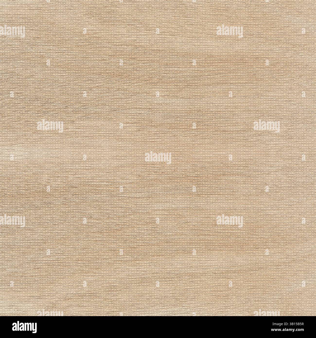 Light brown textured background providing a visually appealing backdrop with its subtle and intricate pattern.Belarus Stock Photo