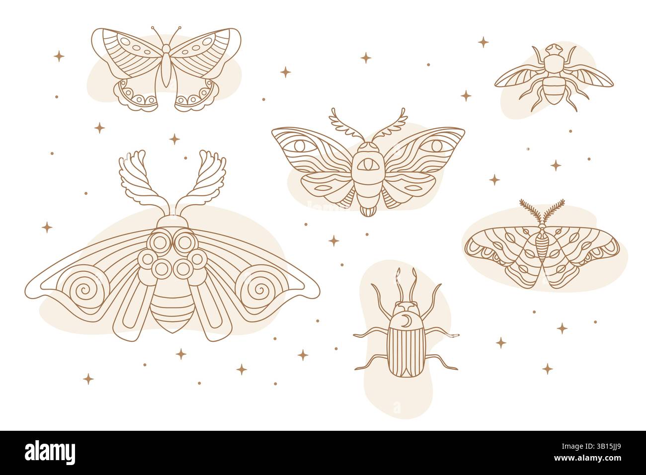 Mystic magic insects silhouette butterfly, beetle, moth. Vector ...